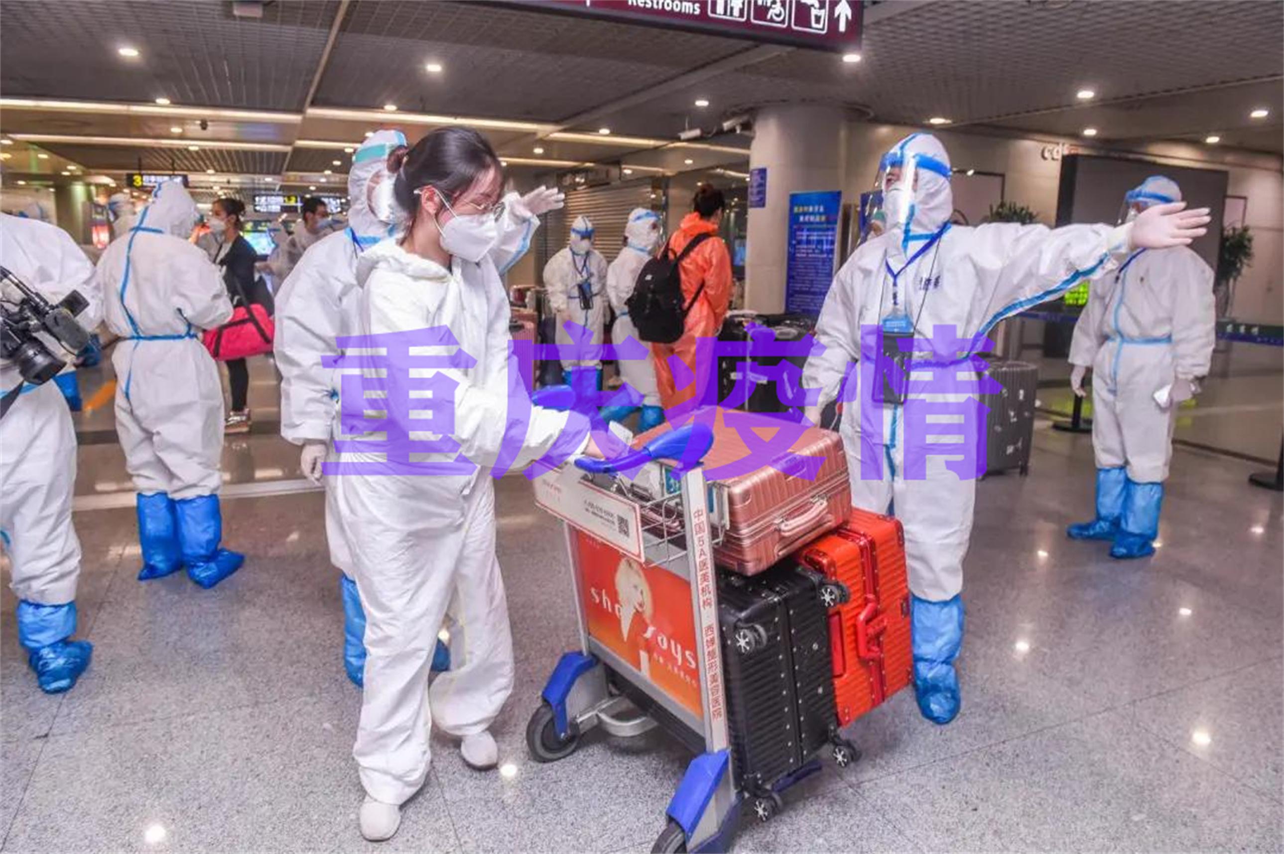 重庆市疫情发布官网最新动态，与香港新闻对比分析