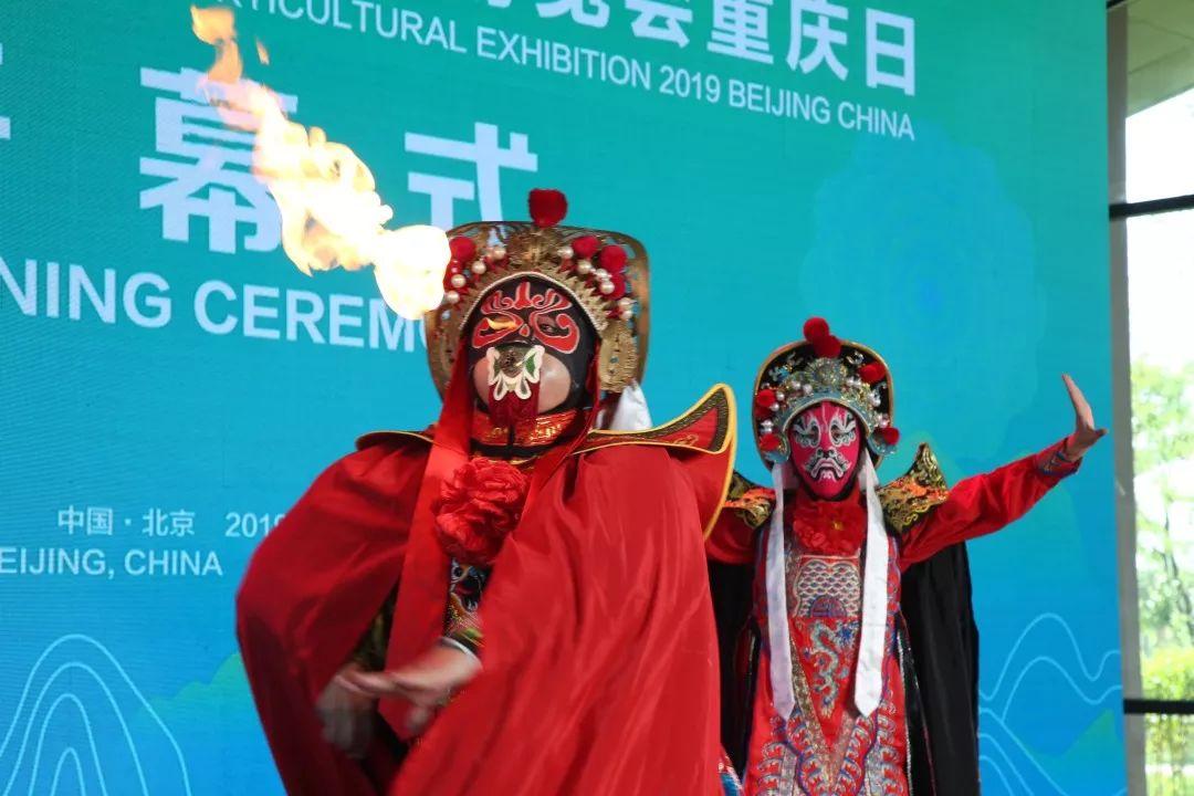 重庆，山水之城的独特魅力与发展现状