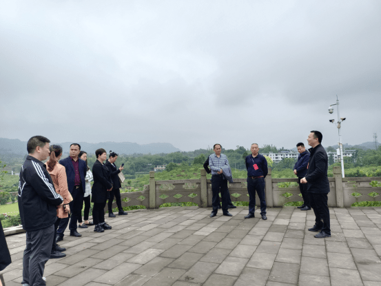 重庆江津区龙华镇镇长，乡村振兴的领路人