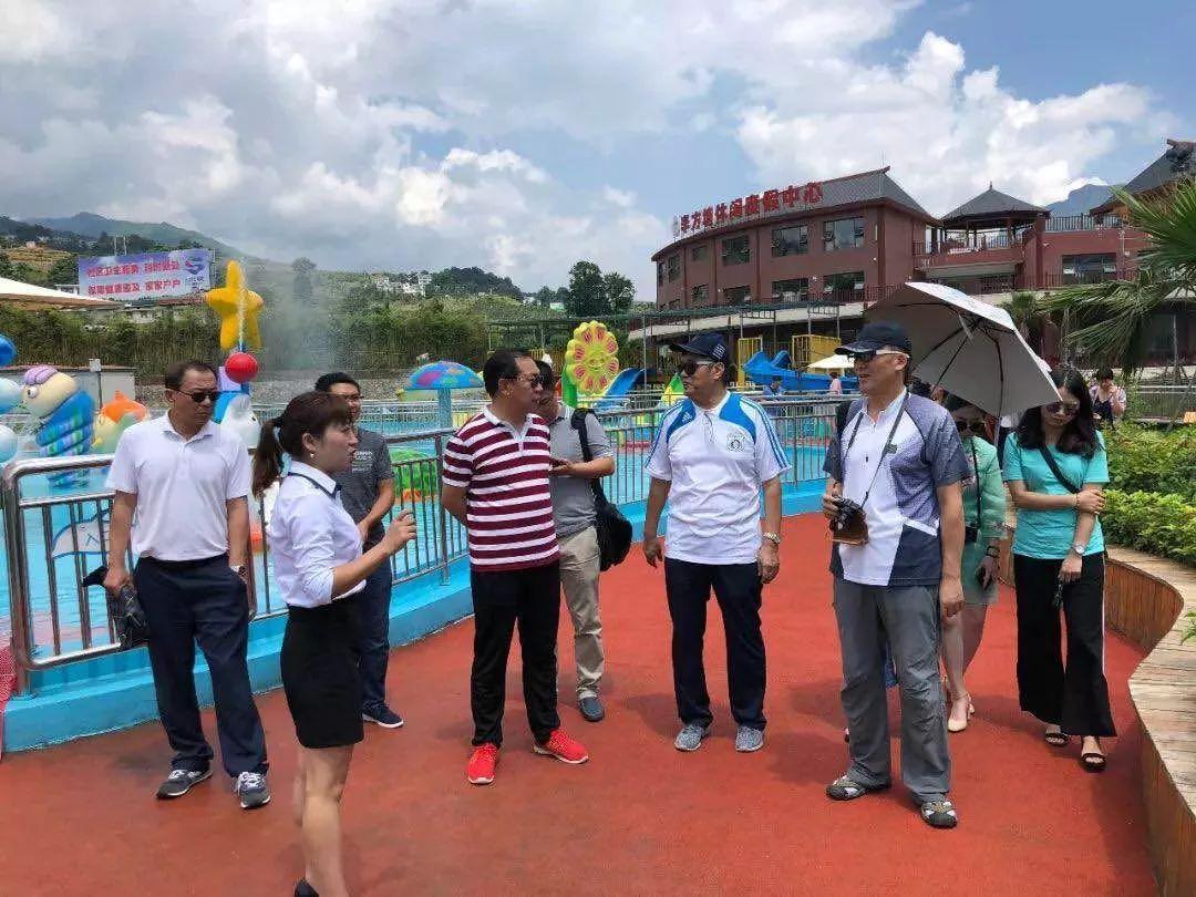 重庆对上海政策，东西部协作的新篇章