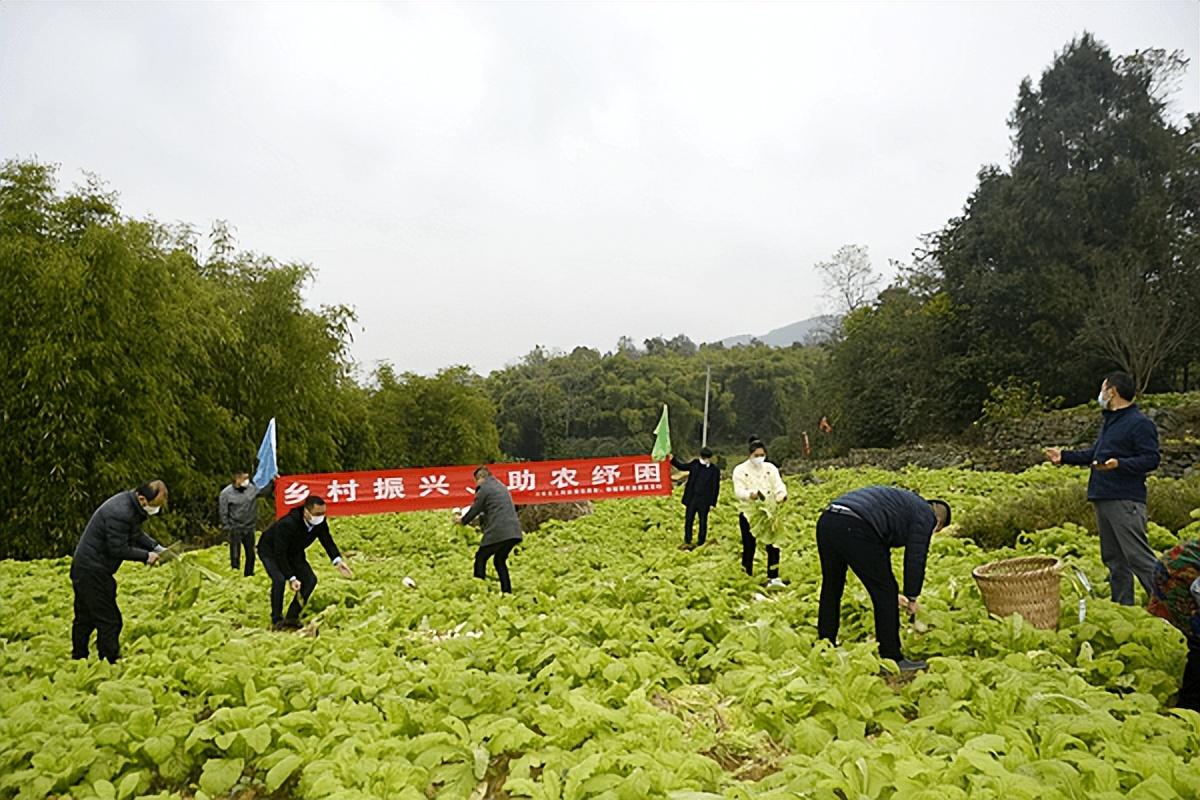 深度解析重庆餐饮业如何在疫情冲击下逆势突围？