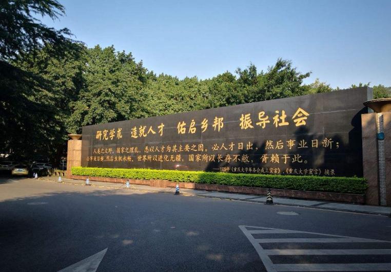 重庆2024年疫情最新动态，防控措施与未来展望