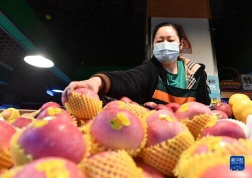 郑州疫情封路措施何时解除？最新进展与市民应对指南