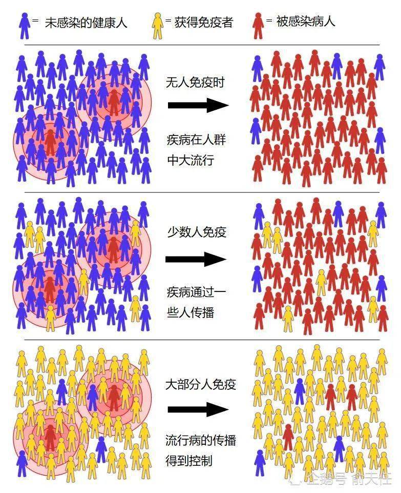 郑州学生群体感染事件，原因、应对与未来防控策略