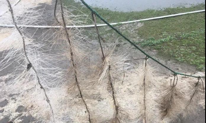 浙江省疫情防控指挥中心电话，权威指南与使用场景解析