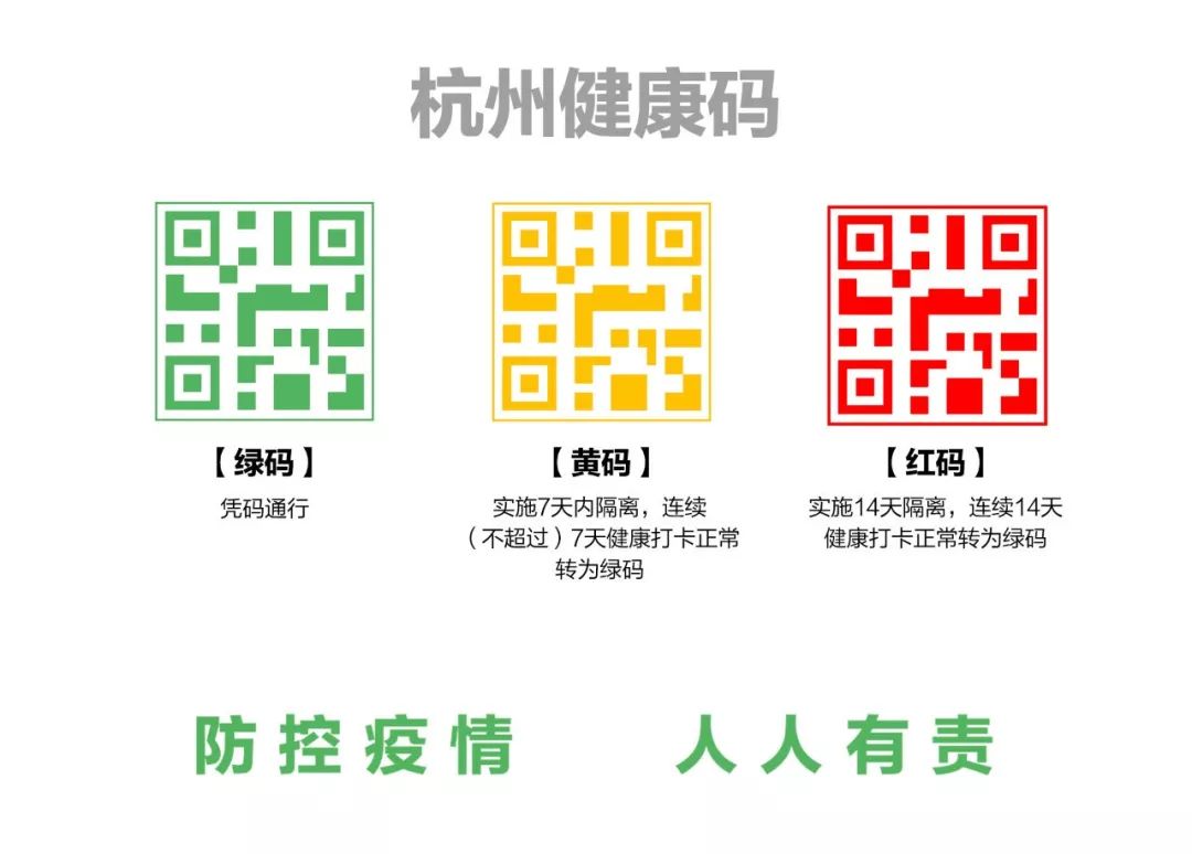 浙江杭州绿码系统，数字化防疫的先锋实践与未来启示