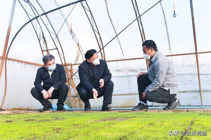 长春疫情最新动态，多个小区实施封控管理，居民生活保障有序进行