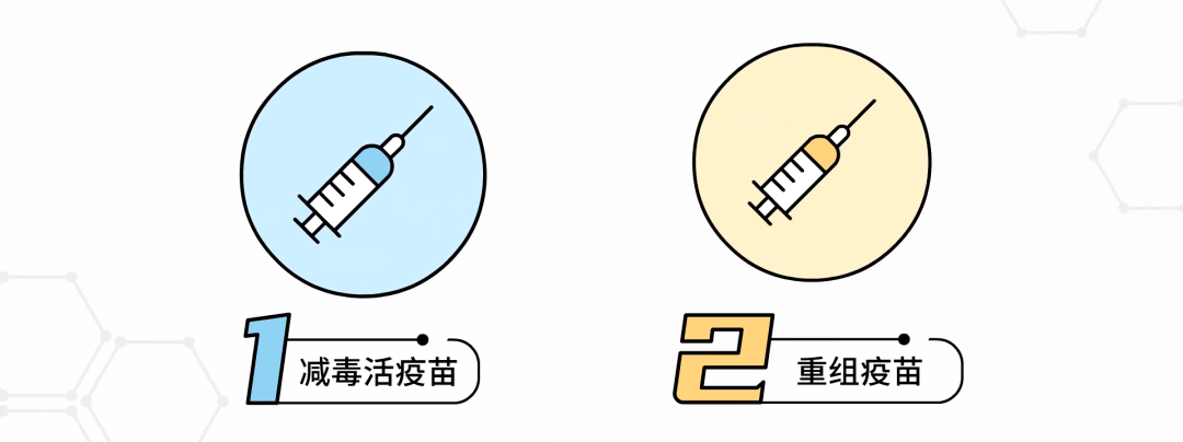 长春生物疫苗属于哪种疫苗？全面解析其技术路线与特点