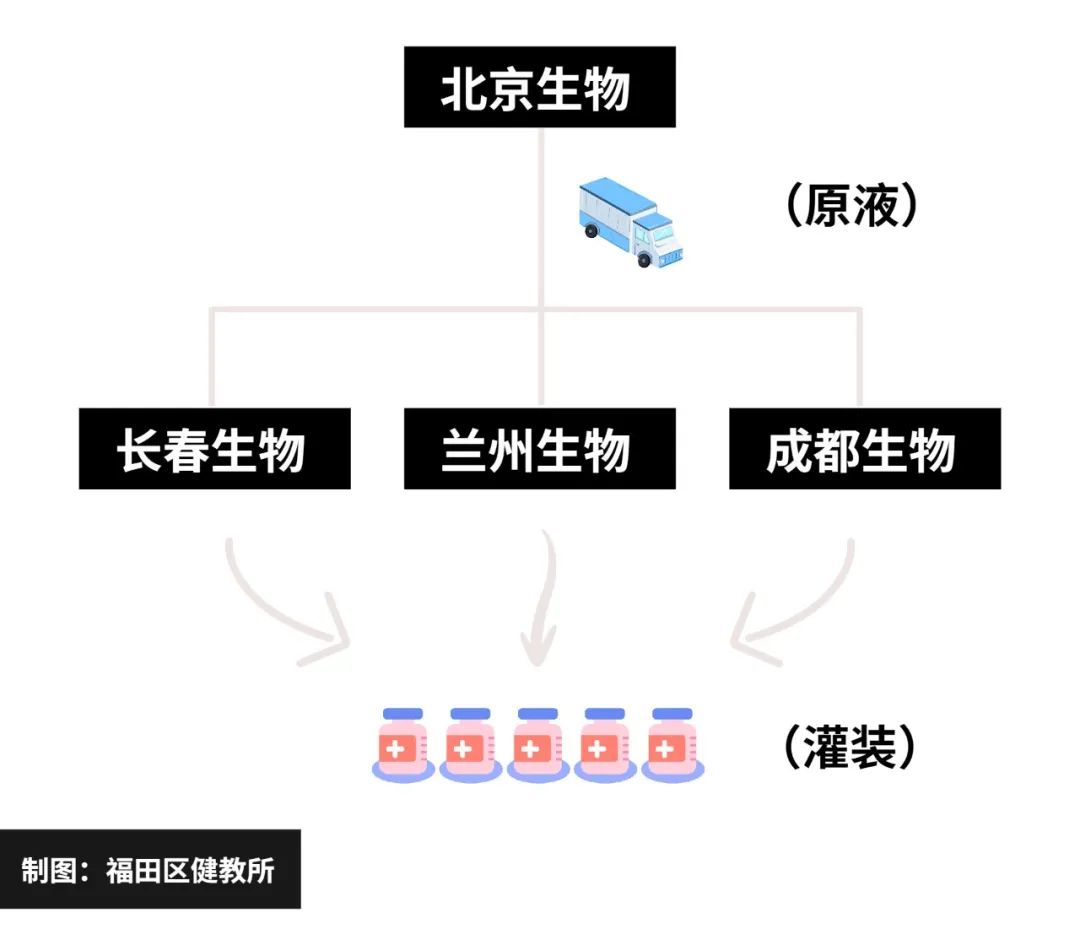 长春生物疫苗属于哪种疫苗？全面解析其技术路线与特点