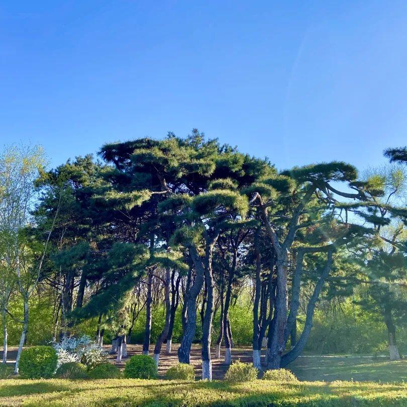 长春机场疫情管控新举措，筑牢空中防线，保障旅客安全