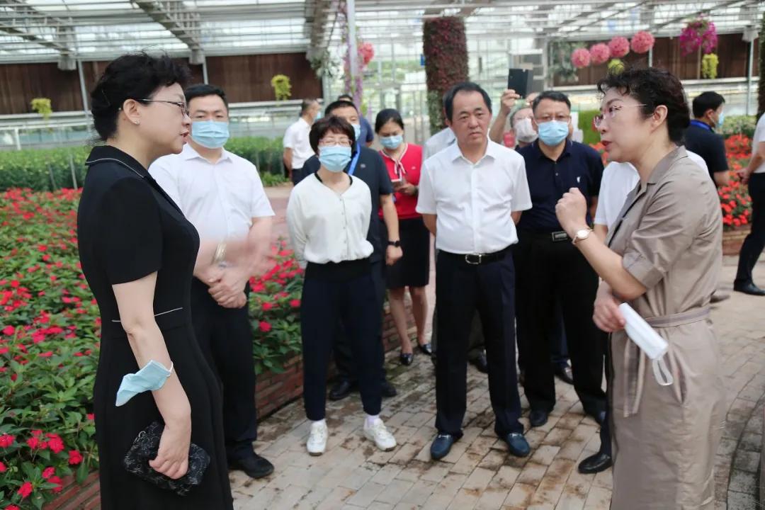 长春大学疫情最新动态，防控措施、学生生活与未来展望