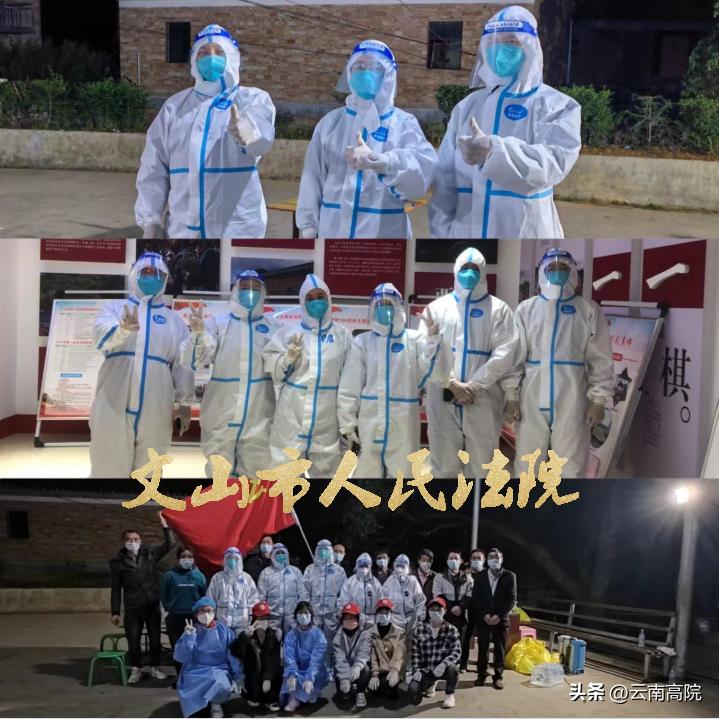 云南省役情，历史背景、现状分析与防控措施