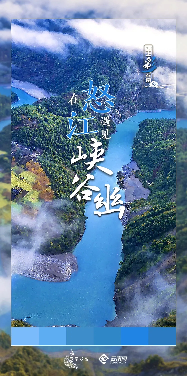云南省跨省旅游开放时间，最新政策与旅游指南