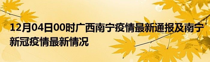 南宁疫情最新通报，今日新增病例及防控措施详解