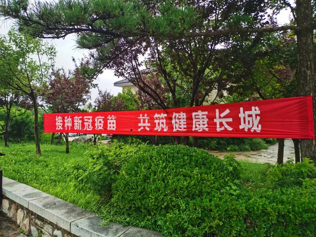 济南疫情最新动态，防控措施升级与市民应对指南