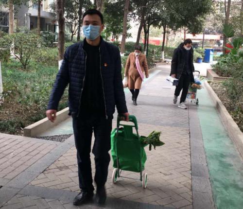 重庆疫情封城措施详解，台湾省是否也采取了封城政策？
