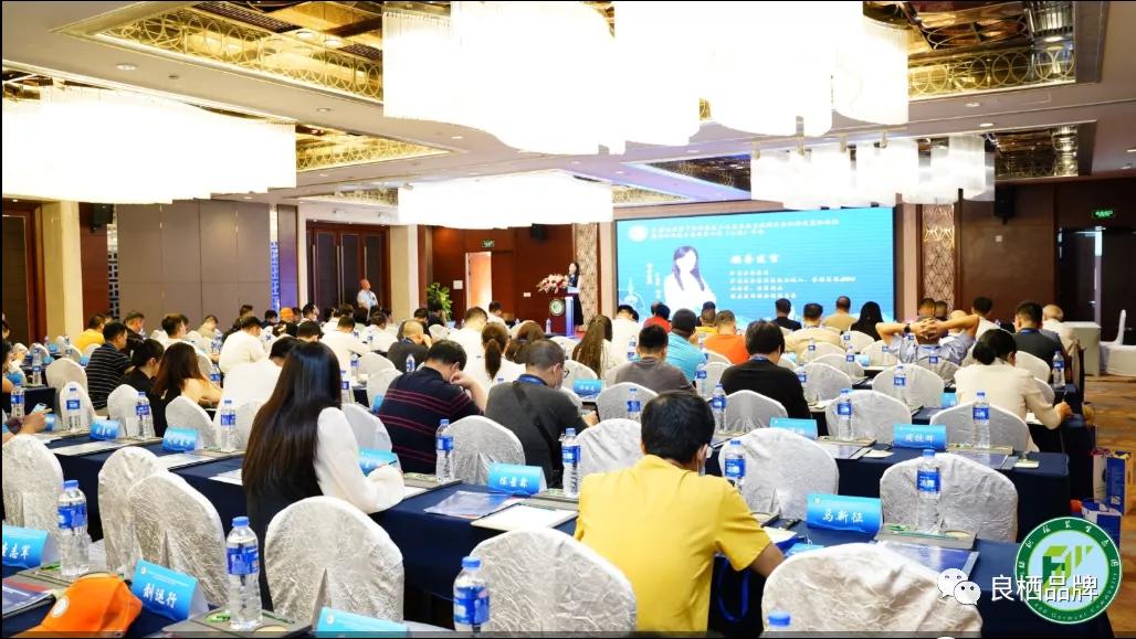 疫情下的郑州年会，挑战与创新的企业生存之道