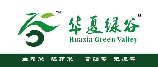天津封城时间表与哈尔滨最新疫情动态，全面解析与应对措施