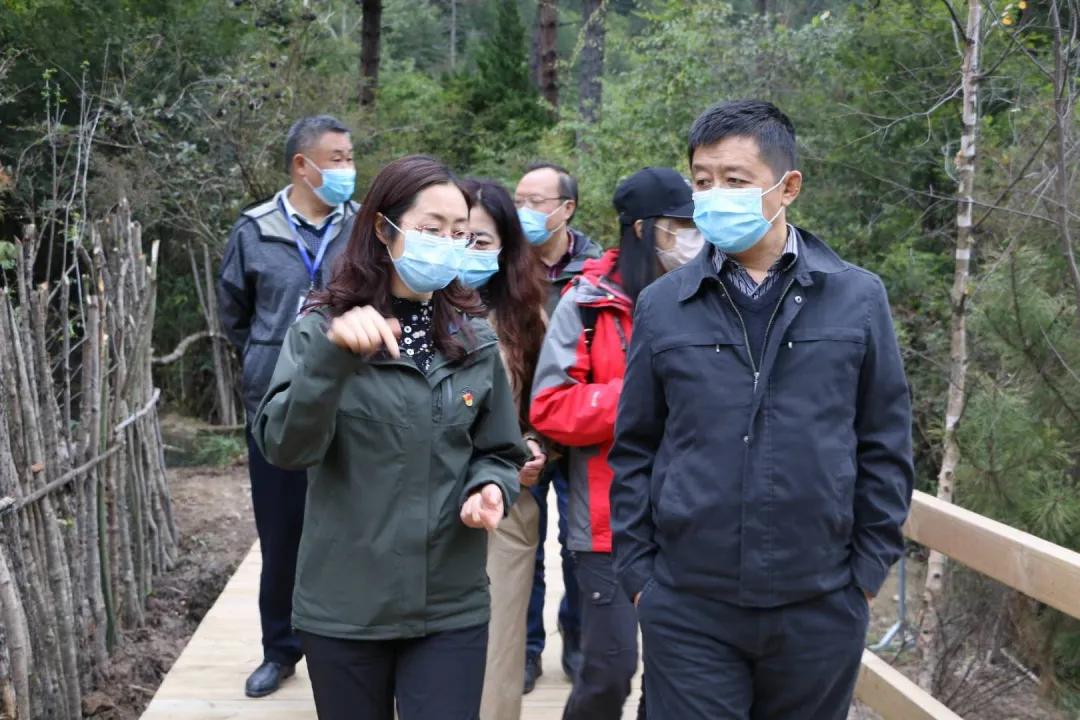 疫情下四川省的人逃到深山老林了吗？真相揭秘