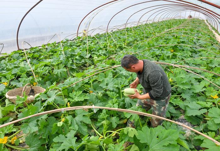 陕西省疫情最新动态与天津市未来一周天气趋势分析