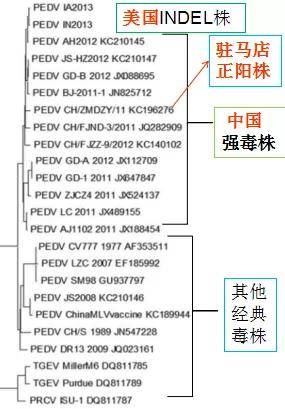 陕西省疫情封城时间回顾，关键节点与防控措施