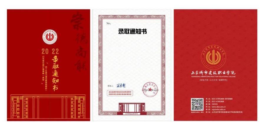 2023年山东省考应届生岗位占比分析，疫情后的就业机会变化