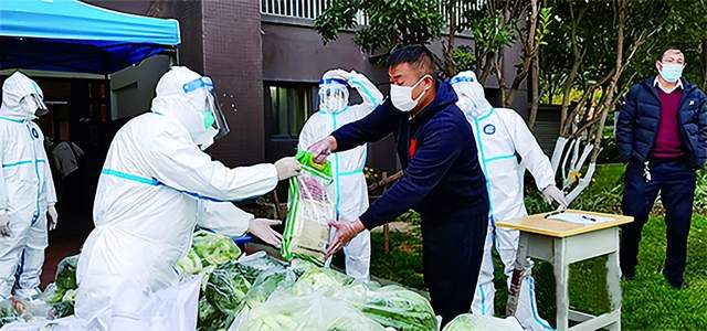 云南疫情最新动态与重庆防控措施，两地联防联控成效显著