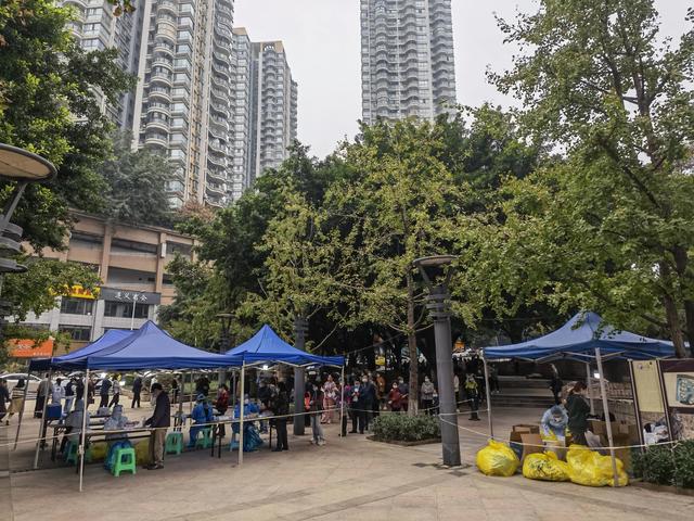 云南疫情最新动态与重庆市行政区划解析，两地防疫与经济复苏对比
