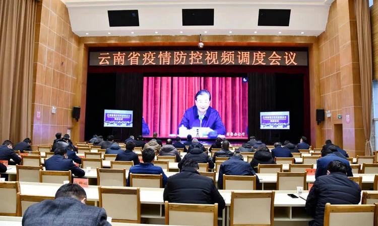 云南省与上海市最新疫情动态，防控措施与趋势分析