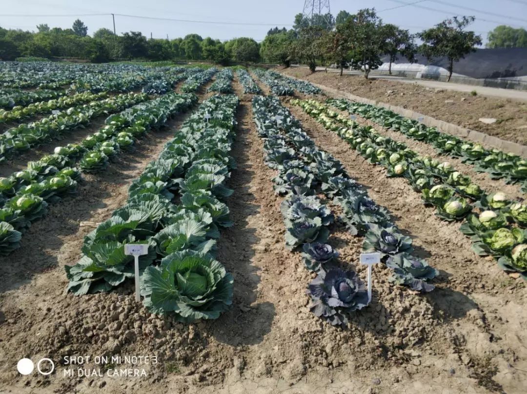 云南与青海最新疫情动态，当前防控形势与应对措施解析