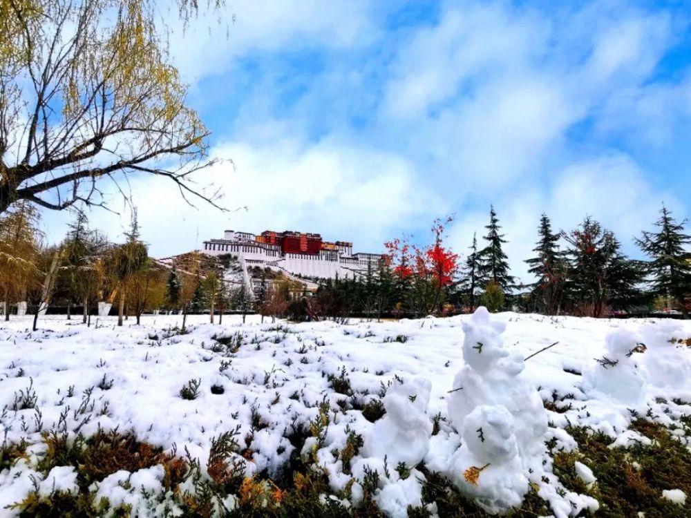 疫情下的拉萨，雪域圣城的坚守与希望