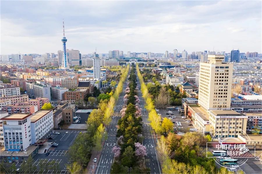 疫情后的长春，复苏、转型与城市新活力