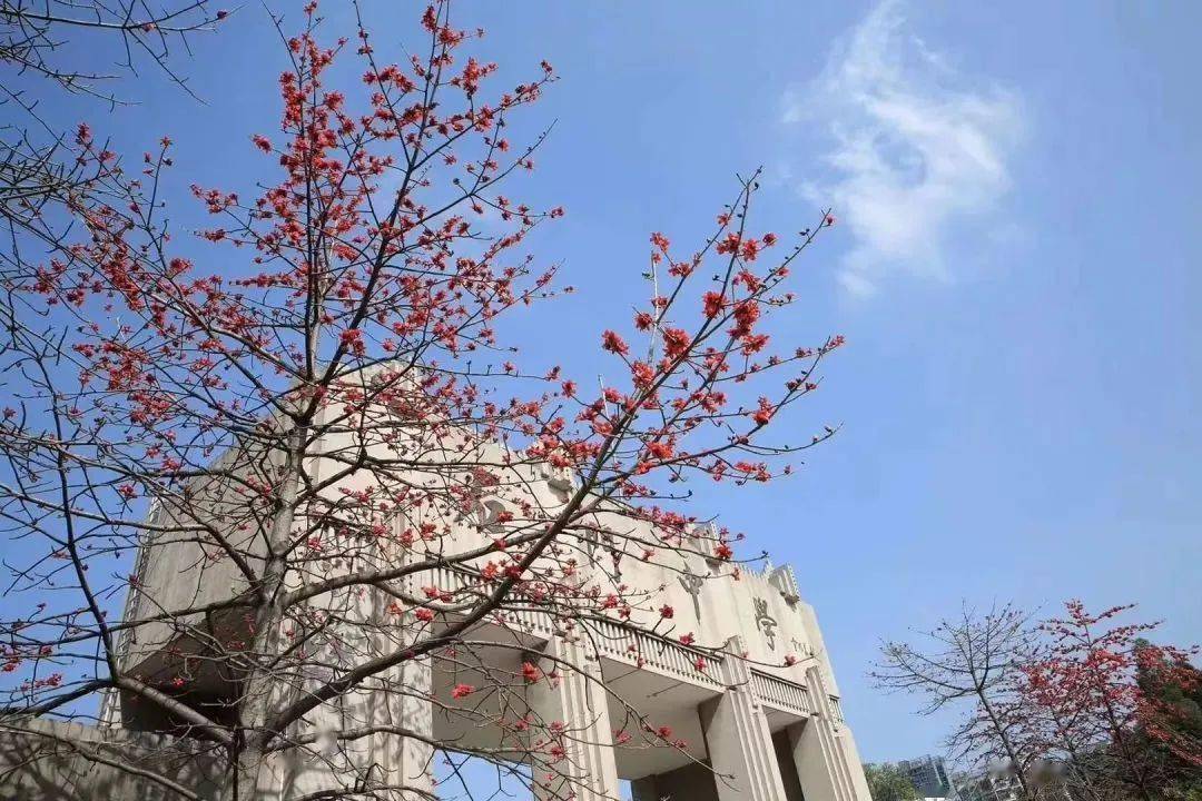 哈尔滨疫情最新动态，防控措施升级与市民生活指南