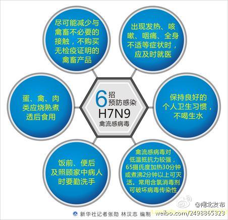 哈尔滨疫情死亡率深度解析，数据背后的真相与启示