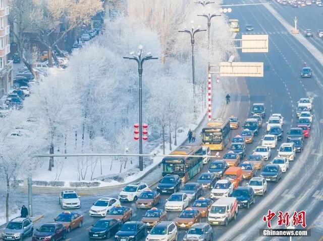哈尔滨疫情最新消息，全部停运了吗？济南出行政策有何变化？
