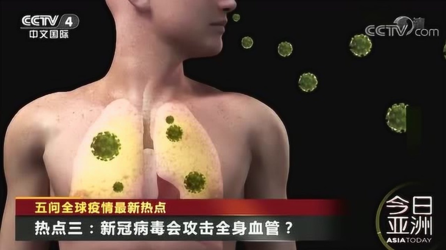 福州疫情最新动态与河南省近期新闻热点解析