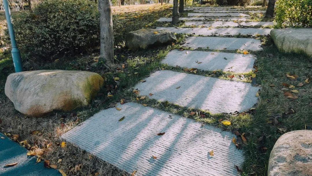 福州疫情最新动态，本土病例持续清零，北京新增病例引关注