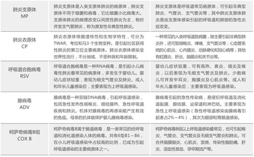 2024最新疫情澳门通关攻略，行前准备、核酸检测、口岸选择全解析