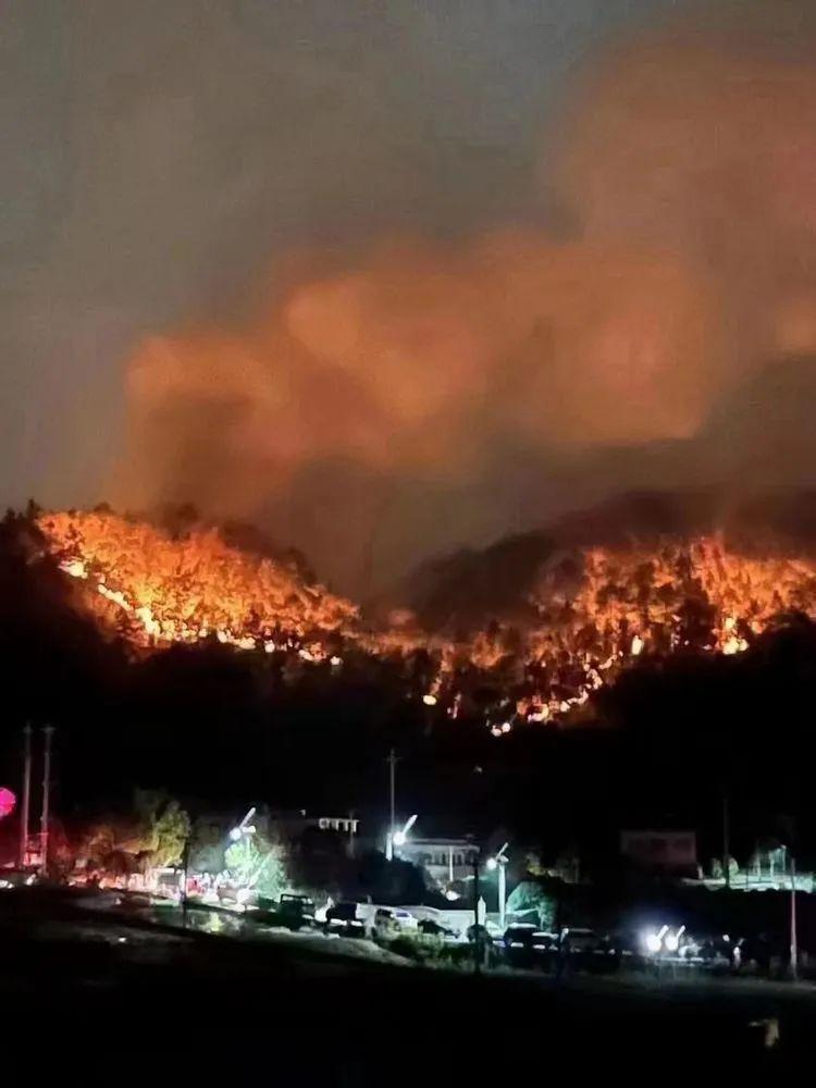 重庆疫情回顾，单日病例最高峰达到多少例？