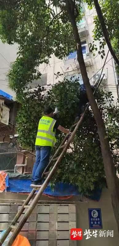 疫情下南京物业费缴纳指南，北京居民能代缴吗？