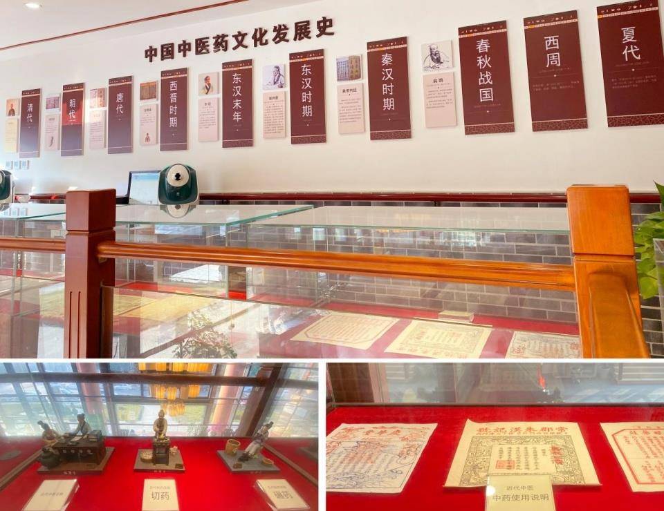 天津中医堂，传承千年中医智慧，守护现代健康生活