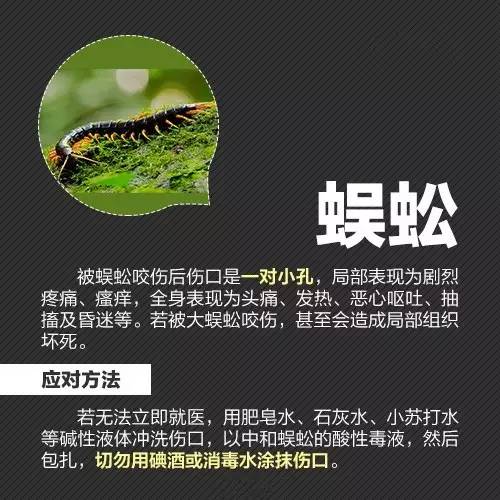 天津今日封城，最新政策解读与市民应对指南