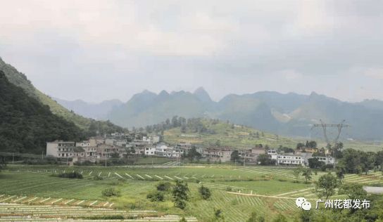 天津对口支援湖北恩施，山海情深，共筑抗疫长城