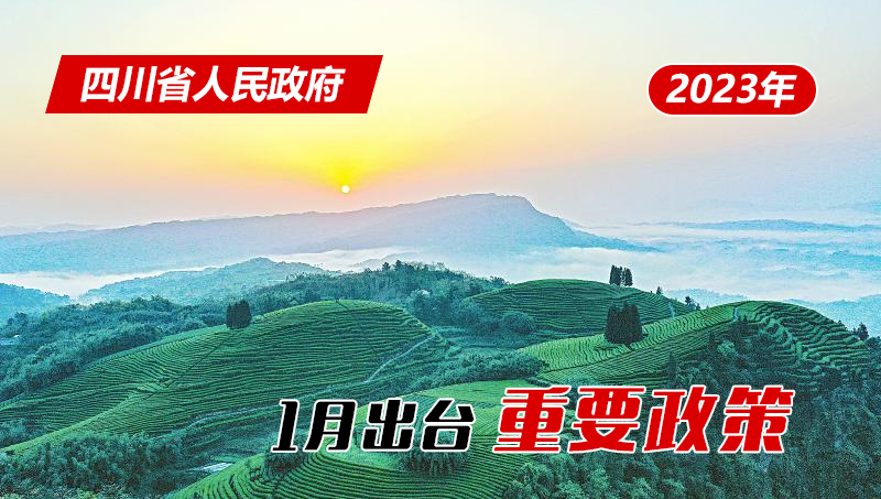 四川省最新疫情防控政策解读，2023年最新措施与市民须知