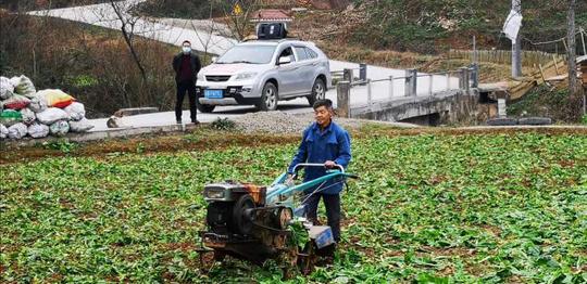 四川省疫情最新数据消息，实时动态与防控措施解析