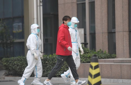 石家庄疫情最新动态，石家庄解封了吗？全面解析当前防控措施