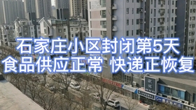 石家庄疫情管控小区的日常，封闭中的温情与坚守