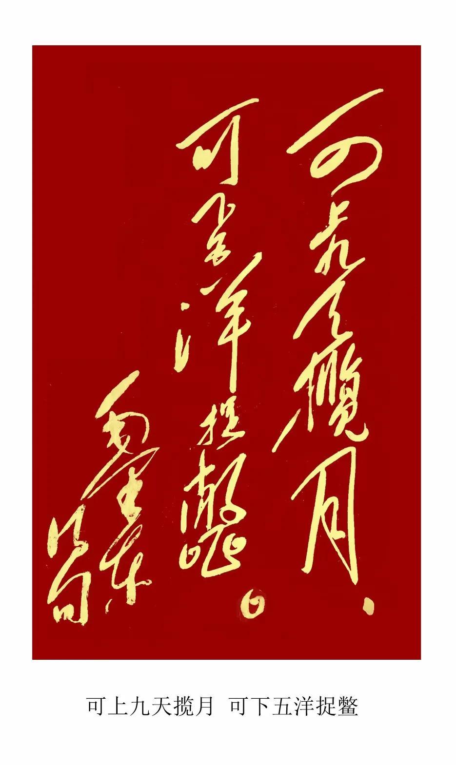 石家庄疫情封城时间与解封时间全记录，关键节点与影响分析