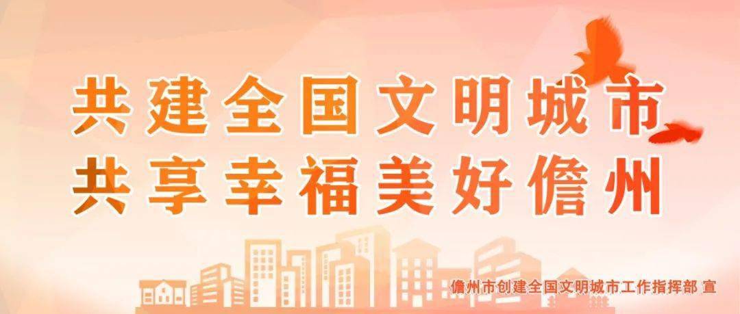 石家庄疫情案例，城市防控的挑战与经验启示
