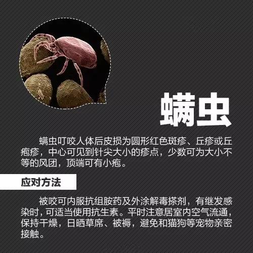 石家庄何时封城？最新政策解读与市民应对指南